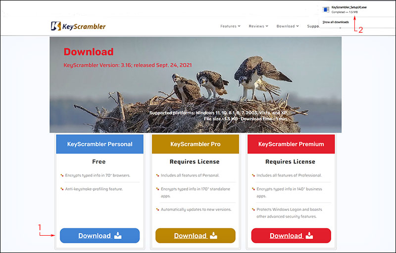 how to download copy how to download copy